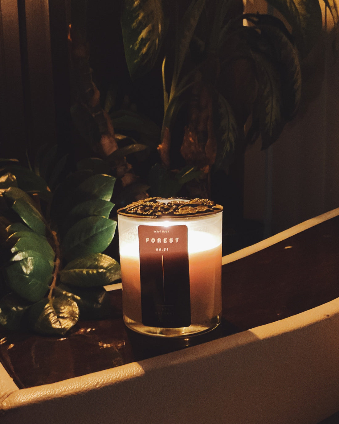 Forest candle in a living room next to some plants