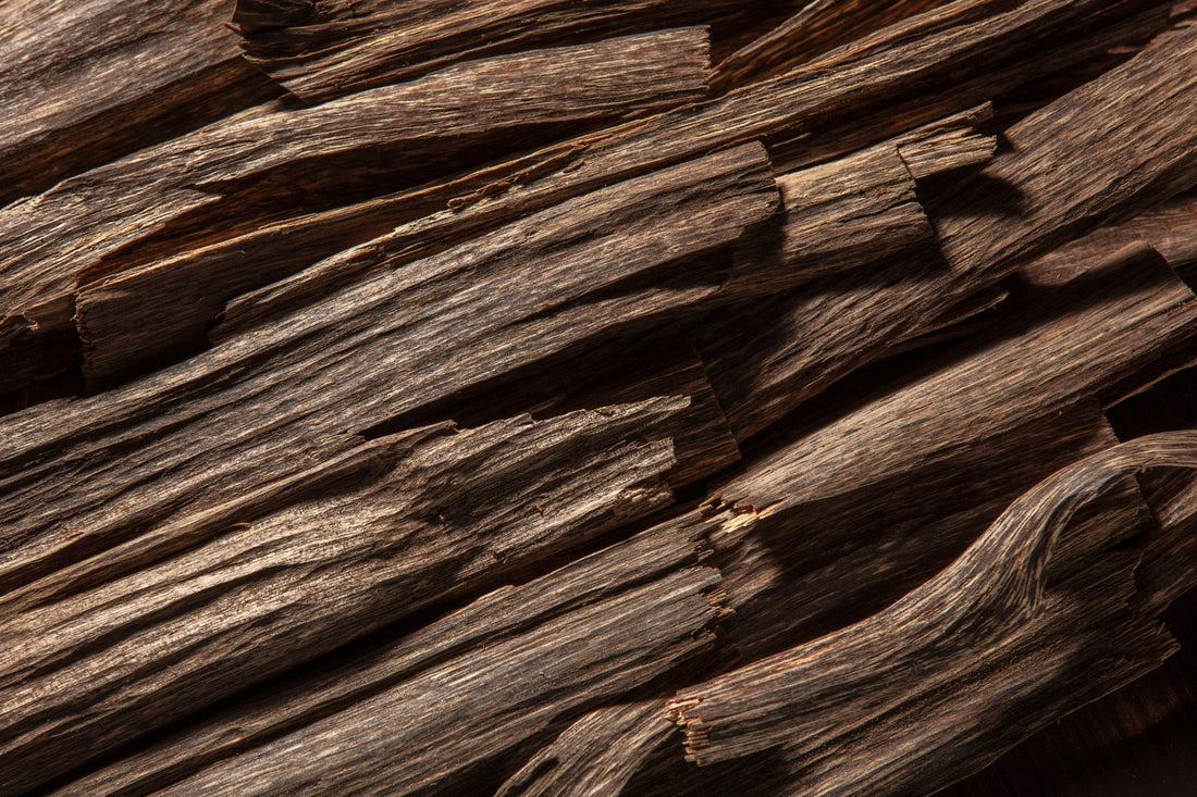What Does Oud Smell Like? 3 Reasons It Feels So Addictive - Meet Haus