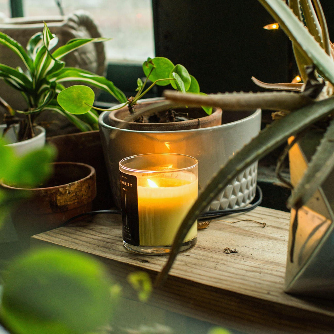 Creating a Relaxing Evening Routine with the Right-Scented Candles - Meet Haus