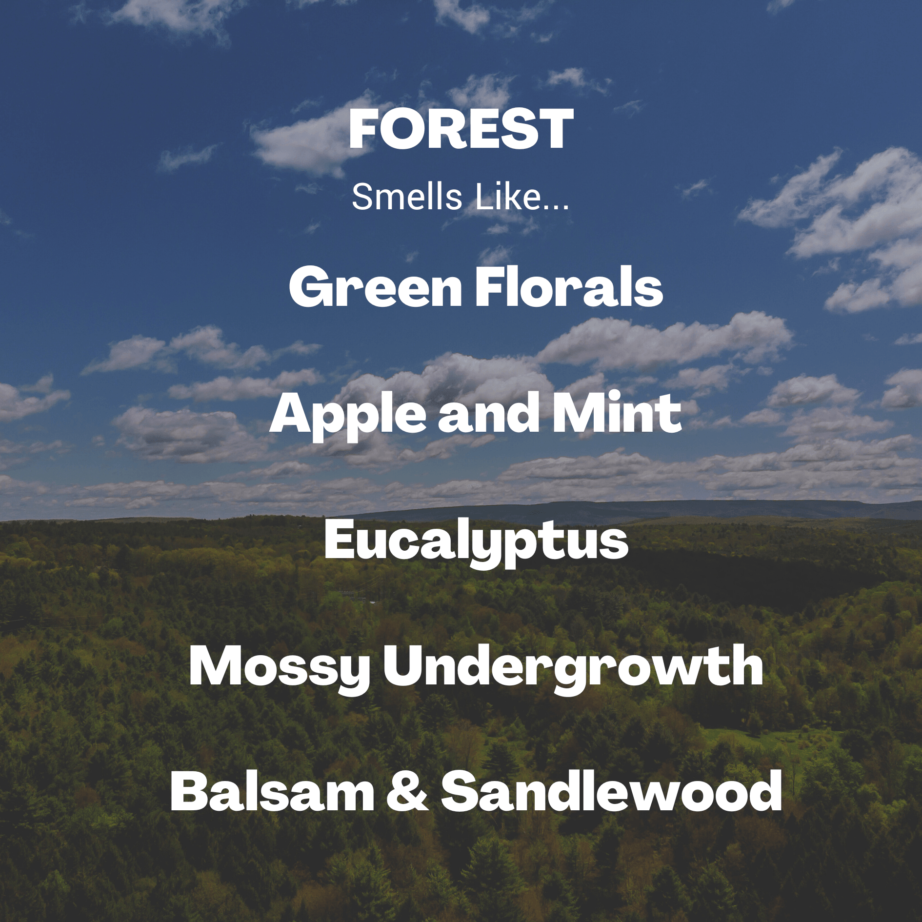 Forest Candle – Fresh Forest Scent - Meet Haus