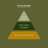 Forest Blossom Bundle – Bold Scented Candles for a Nature-Inspired Escape - Meet Haus