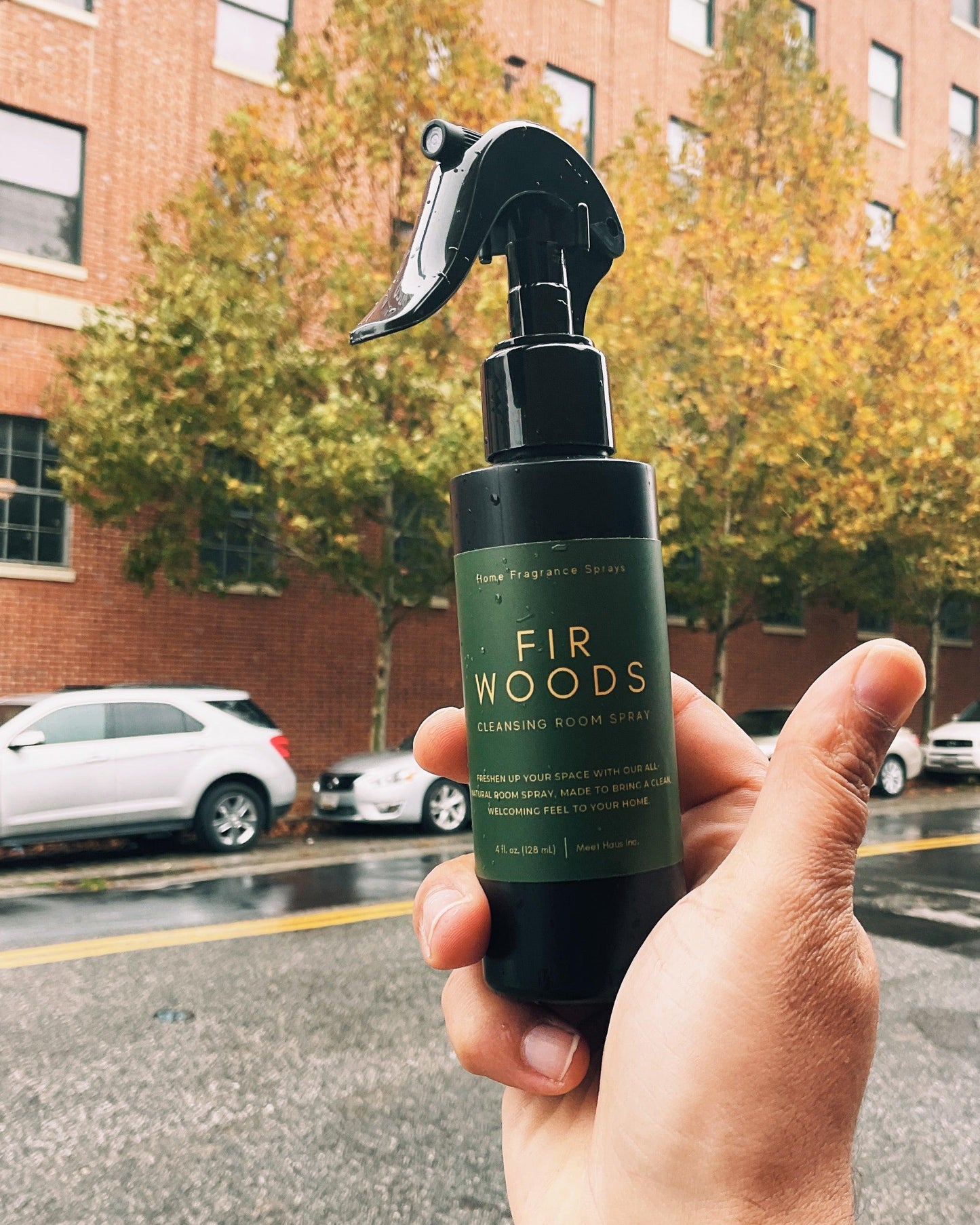 Fir Forest Room & Linen Spray: Nature’s Comfort at Your Fingertips - Meet Haus