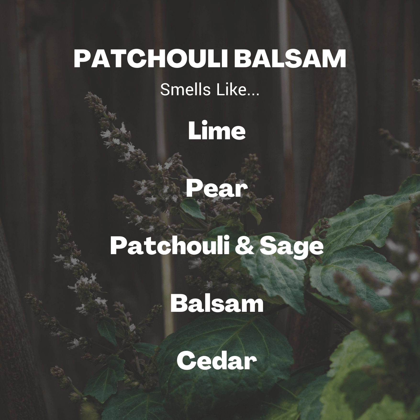 Patchouli Balsam Candle –Sweet and Earthy - Meet Haus